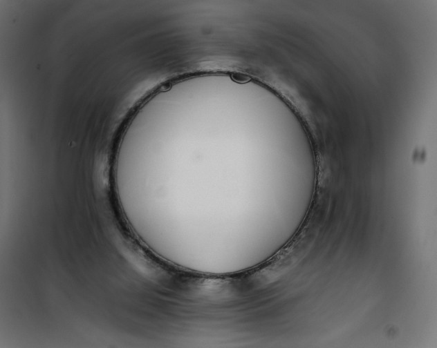 X0000100850060200807070943