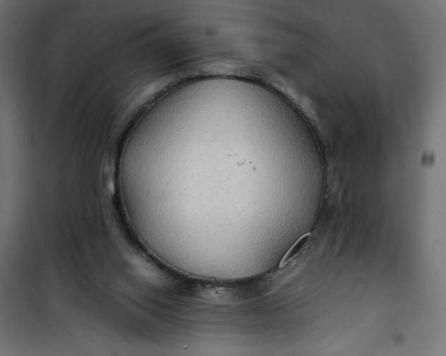 X0000100850062200807070943