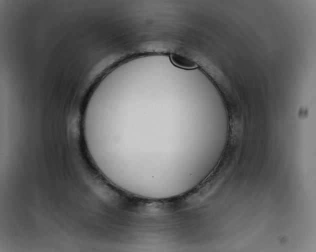 X0000100850064200807070943