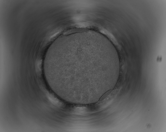 X0000100850066200807070943