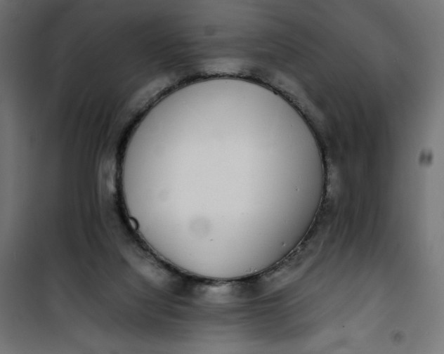 X0000100850068200807070943