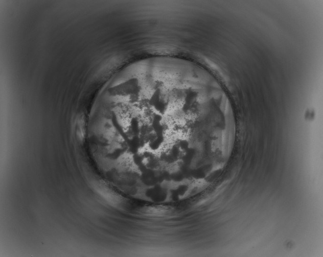 X0000100850069200807070943