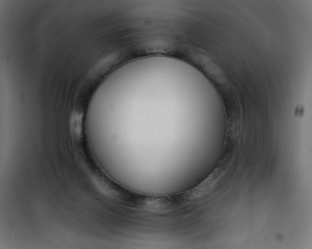 X0000100850070200807070943