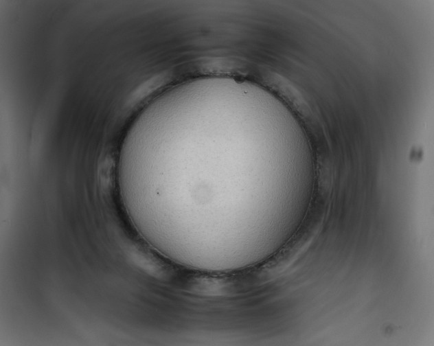 X0000100850071200807070943