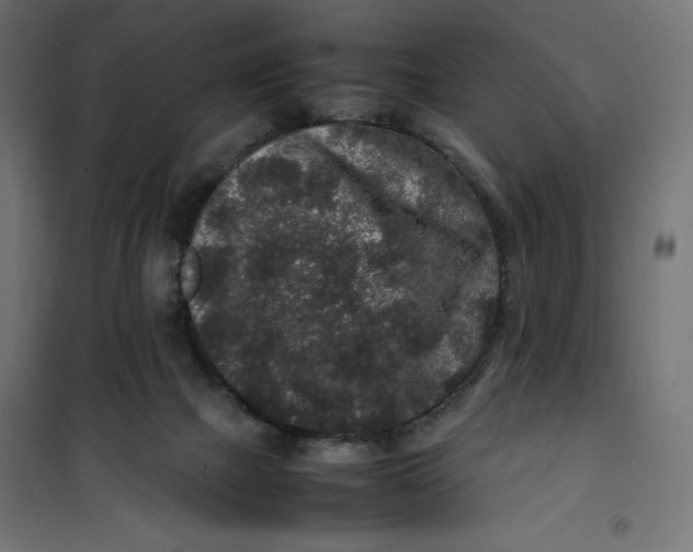 X0000100850073200807070943