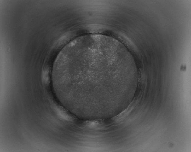 X0000100850074200807070943