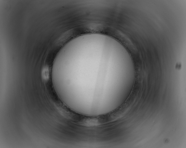 X0000100850075200807070943