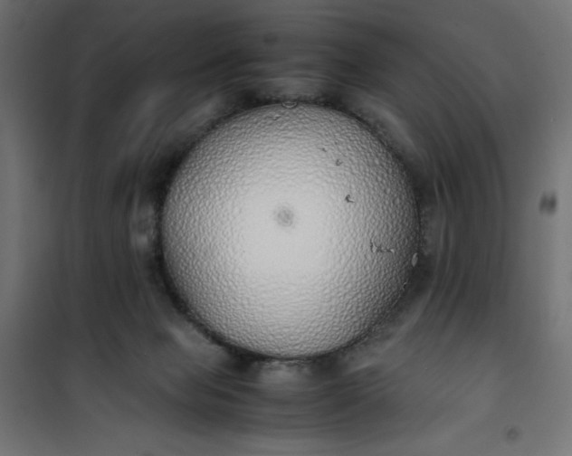 X0000100850077200807070943