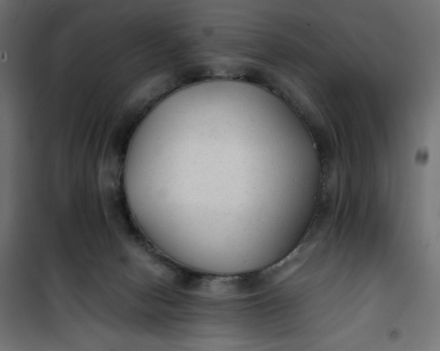 X0000100850078200807070943