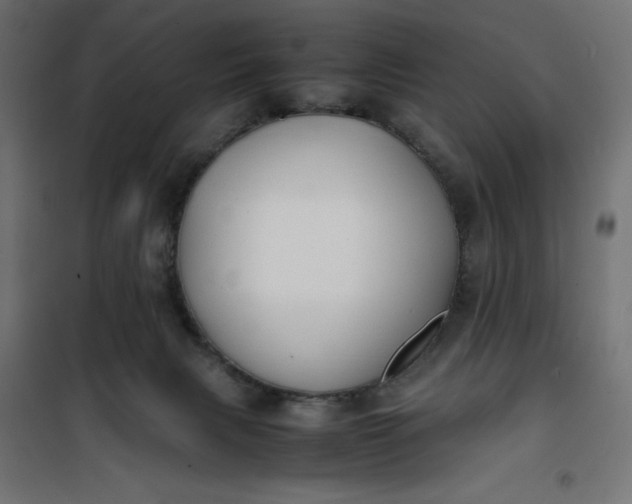 X0000100850079200807070943