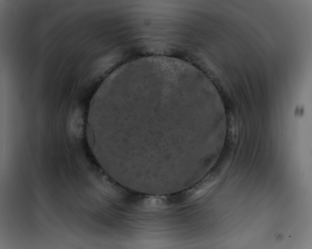 X0000100850080200807070943