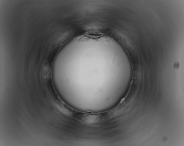 X0000100850081200807070943