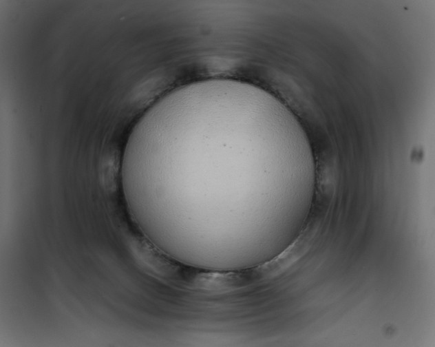 X0000100850082200807070943