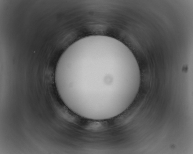 X0000100850083200807070943