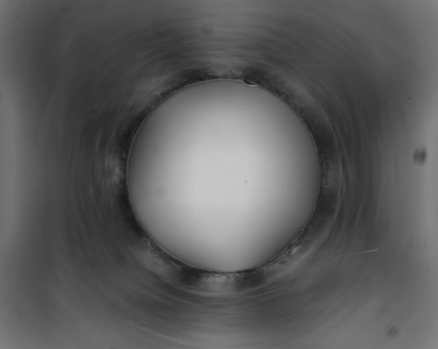 X0000100850084200807070943