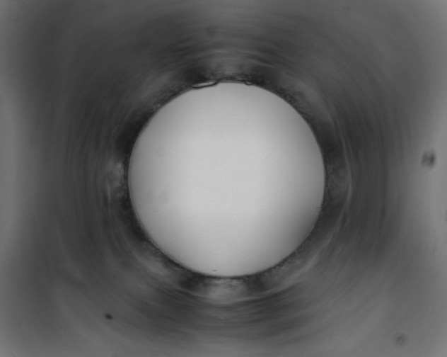 X0000100850087200807070943