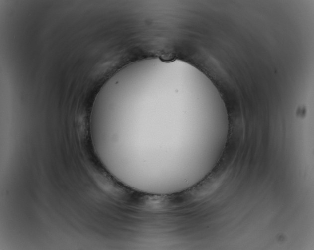 X0000100850088200807070943