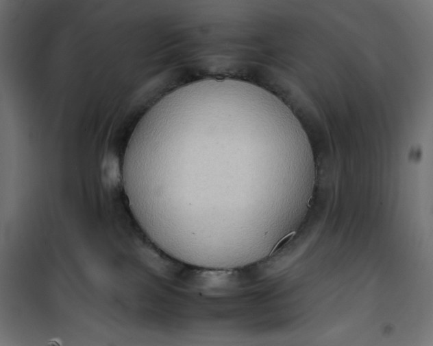 X0000100850089200807070943