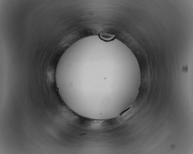 X0000100850090200807070943