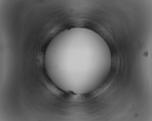 X0000100850092200807070943