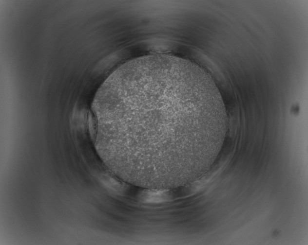 X0000100850093200807070943