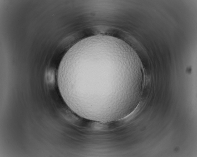 X0000100850094200807070943