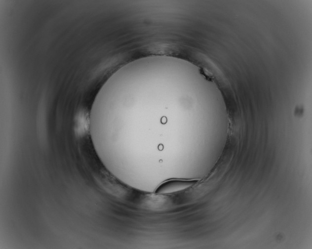 X0000100850095200807070943