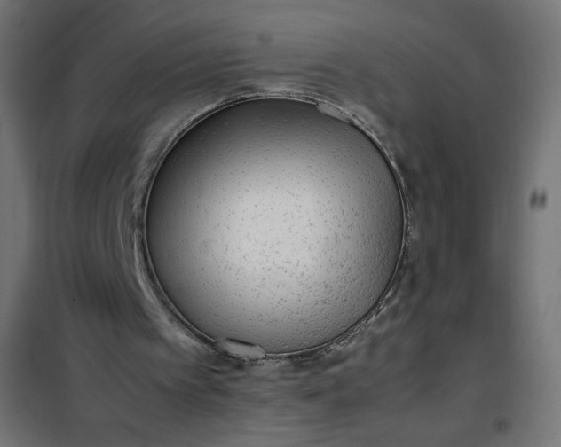 X0000100850097200807070943