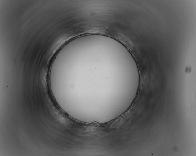 X0000100850098200807070943