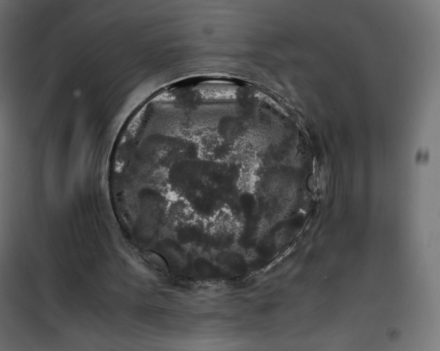 X0000100850099200807070943