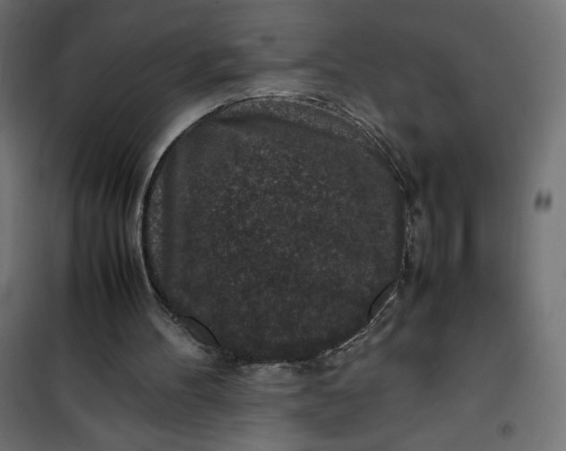 X0000100850100200807070943