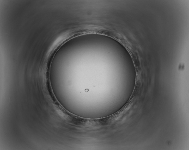 X0000100850101200807070943