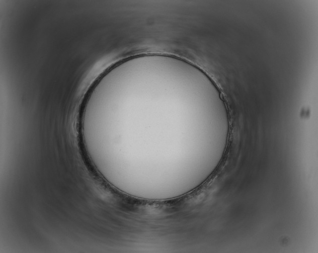 X0000100850103200807070943