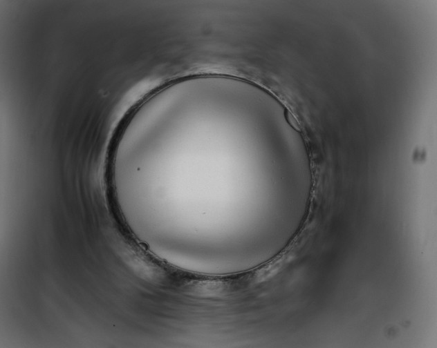 X0000100850104200807070943