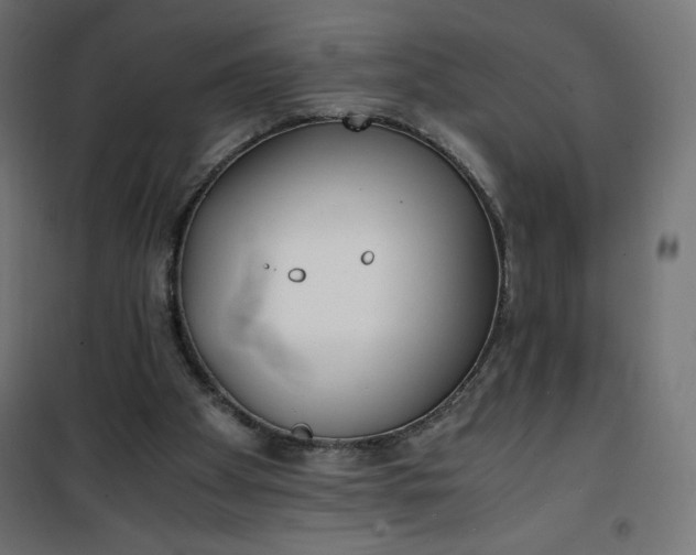 X0000100850105200807070943