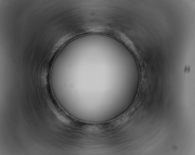 X0000100850106200807070942