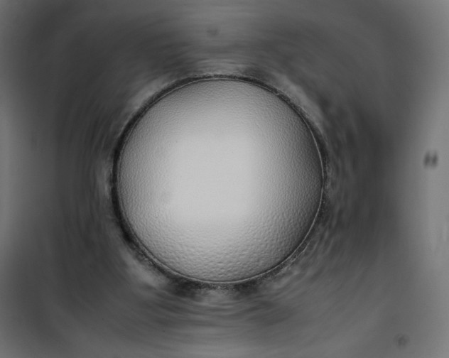 X0000100850107200807070942