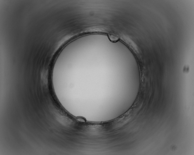 X0000100850108200807070942