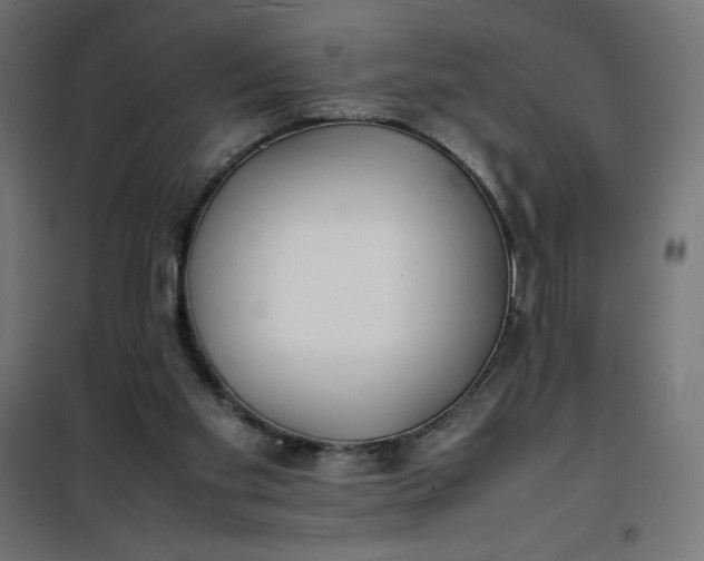 X0000100850109200807070942