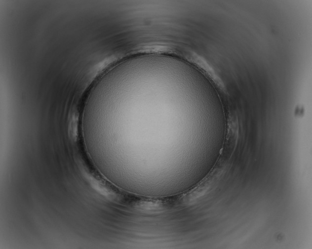 X0000100850110200807070942