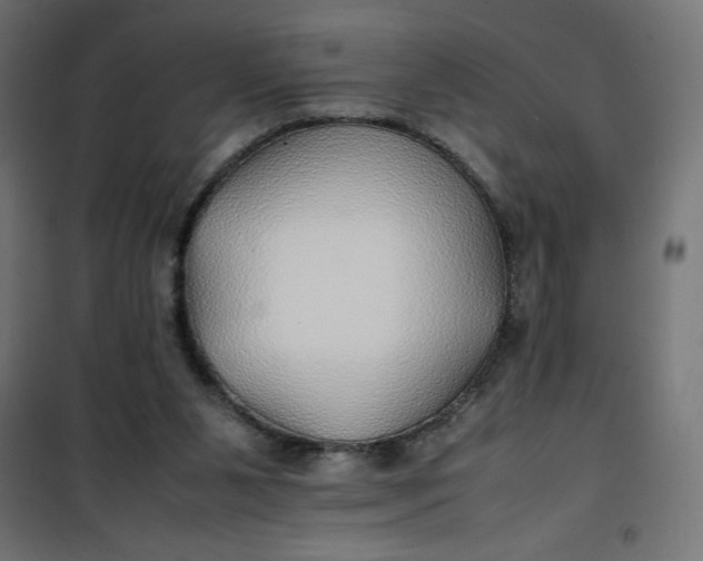 X0000100850111200807070942