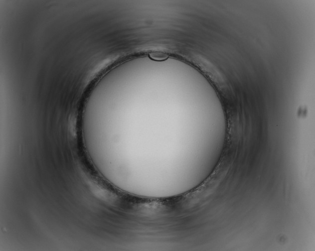 X0000100850112200807070942