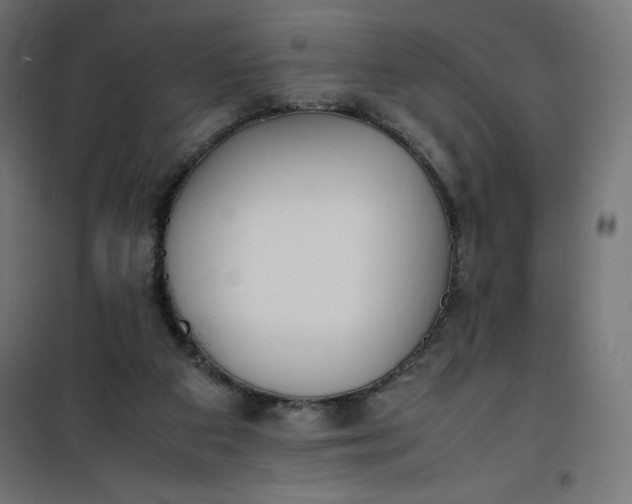 X0000100850113200807070942