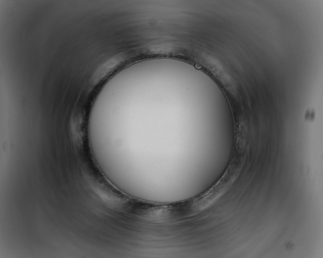 X0000100850116200807070942