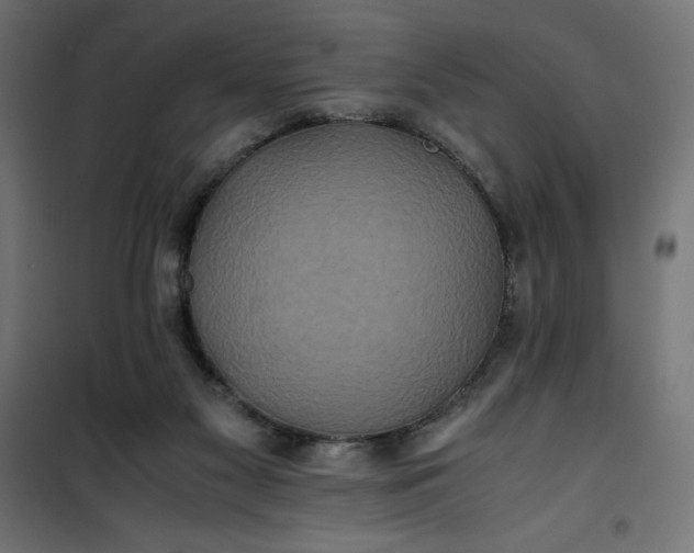 X0000100850117200807070942