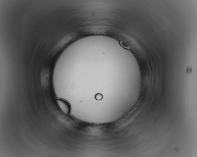 X0000100850120200807070942