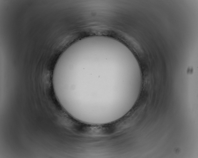 X0000100850121200807070942