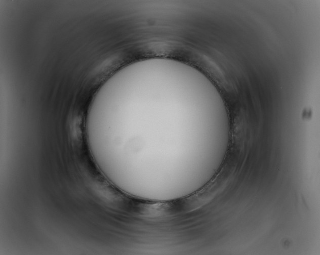 X0000100850122200807070942