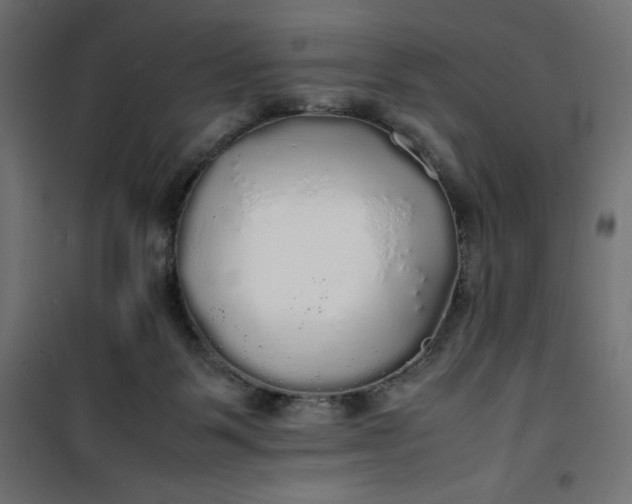 X0000100850123200807070942