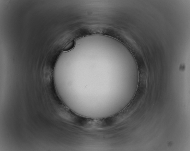 X0000100850125200807070942